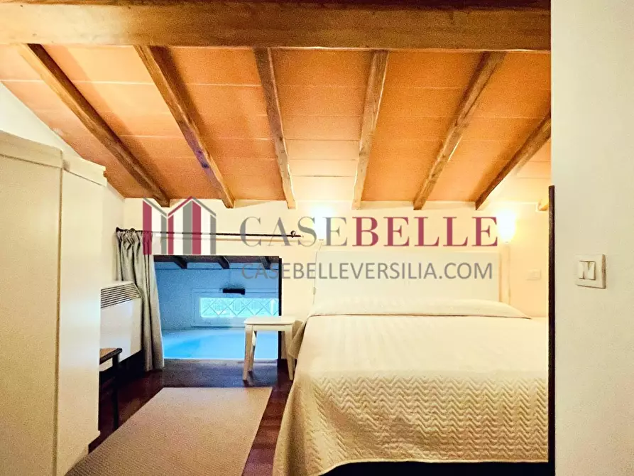 Immagine 69 di Casa indipendente in vendita  a Forte Dei Marmi