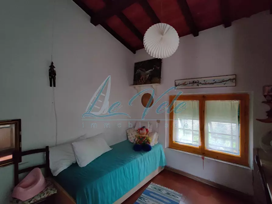 Immagine 17 di Villa in vendita  a Massa