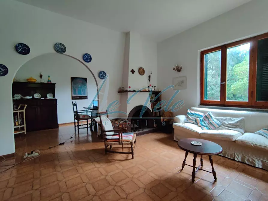 Immagine 8 di Villa in vendita  a Massa