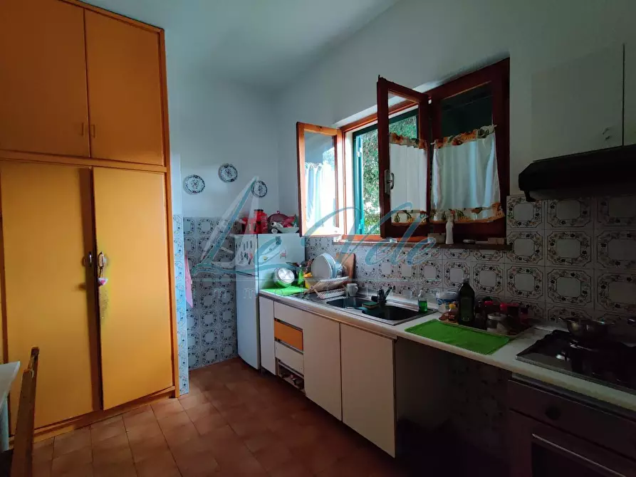 Immagine 11 di Villa in vendita  a Massa