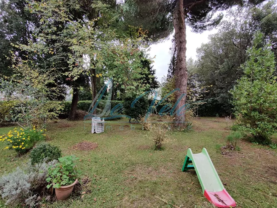 Immagine 4 di Villa in vendita  a Massa