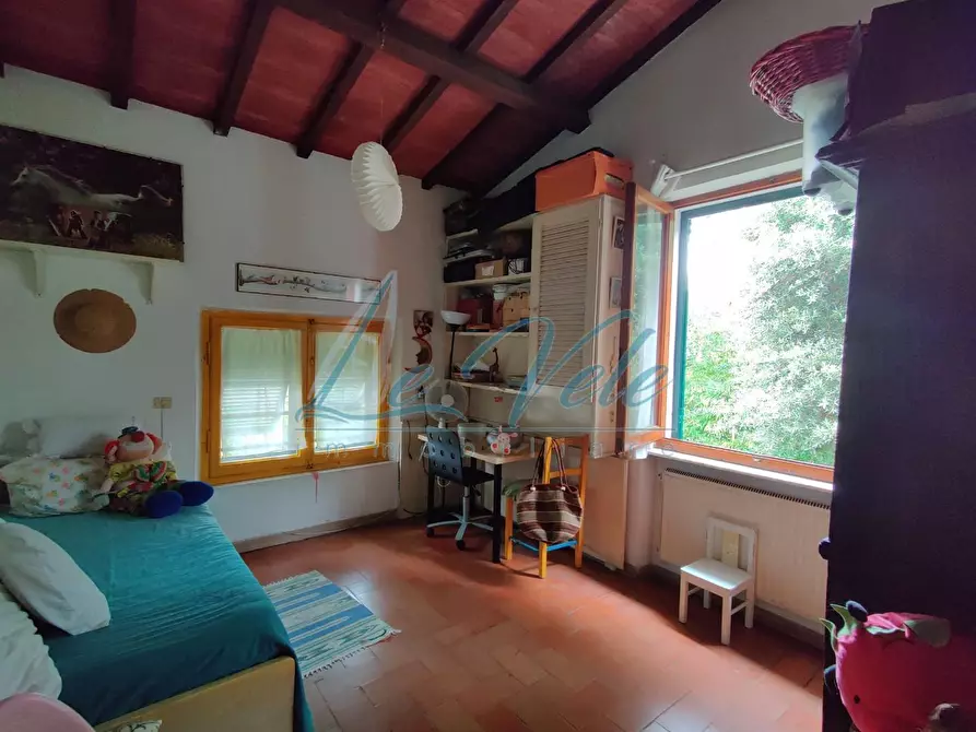 Immagine 16 di Villa in vendita  a Massa