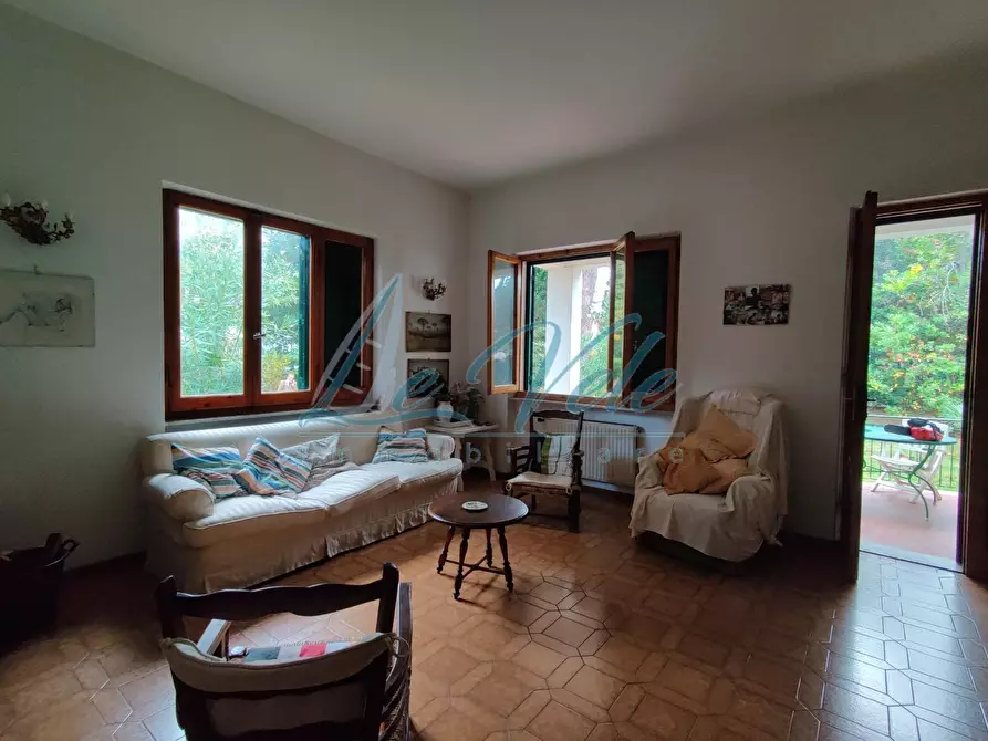 Immagine 9 di Villa in vendita  a Massa