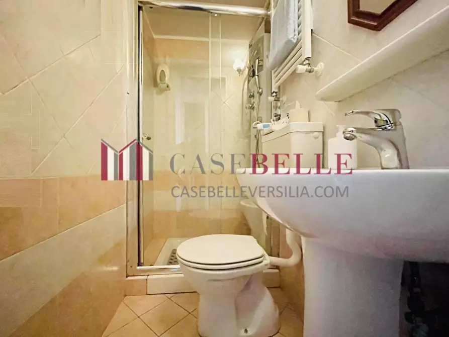 Immagine 80 di Villa in vendita  a Viareggio