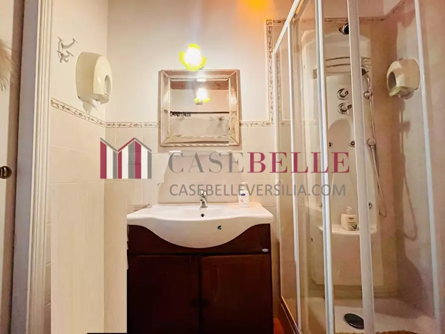 Immagine 51 di Villa in vendita  a Viareggio