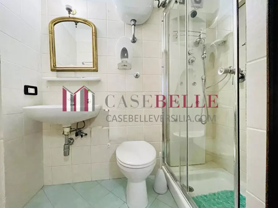 Immagine 72 di Villa in vendita  a Viareggio