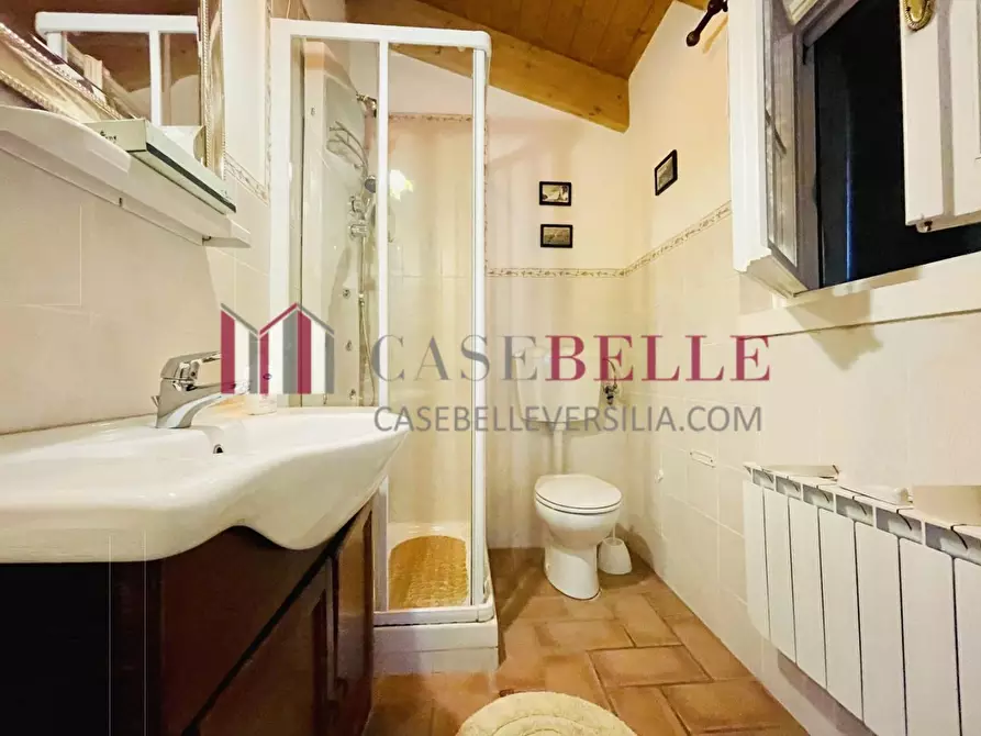 Immagine 50 di Villa in vendita  a Viareggio