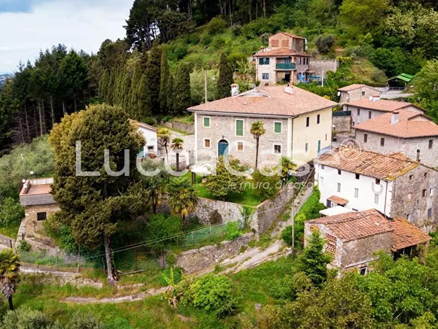 Immagine 60 di Casa colonica in vendita  a Camaiore