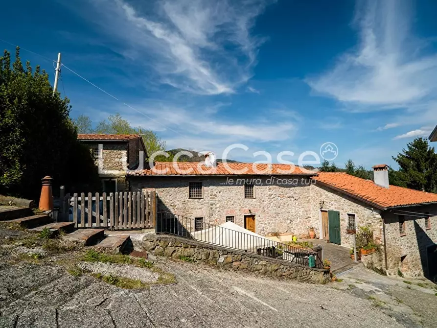 Immagine 36 di Casa colonica in vendita  a Camaiore