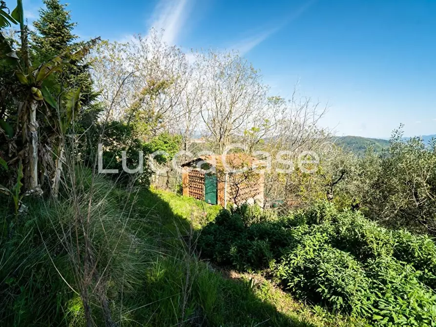 Immagine 40 di Casa colonica in vendita  a Camaiore