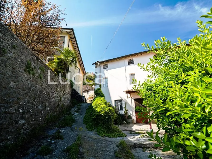 Immagine 38 di Casa colonica in vendita  a Camaiore