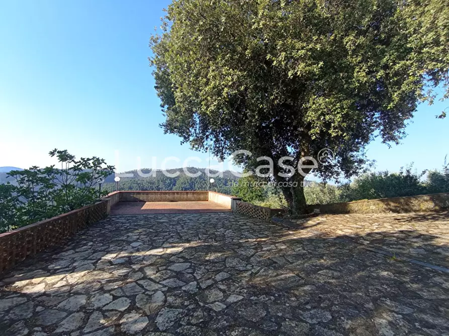 Immagine 4 di Casa colonica in vendita  a Camaiore