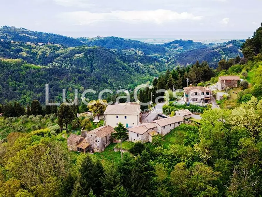 Immagine 56 di Casa colonica in vendita  a Camaiore