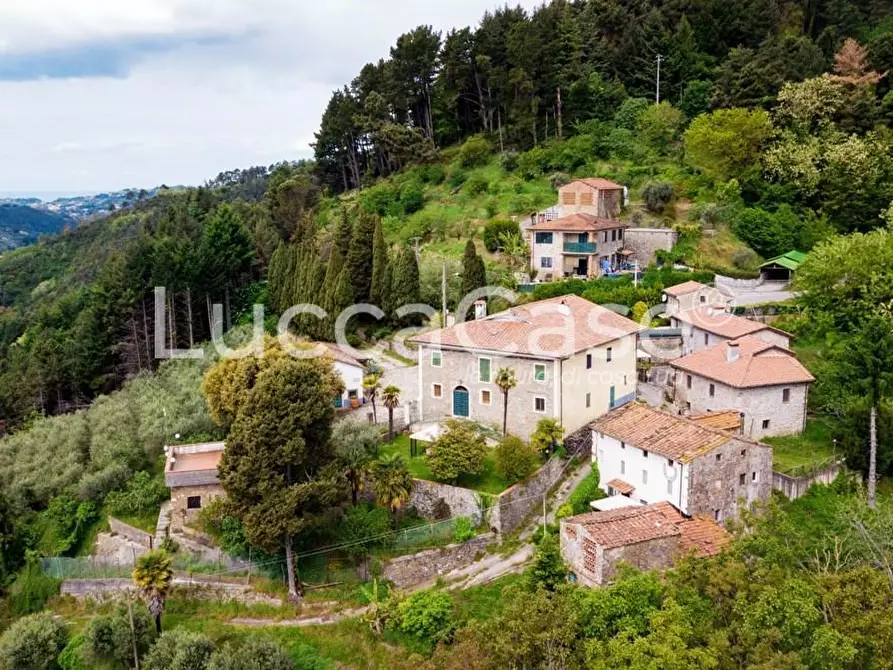 Immagine 61 di Casa colonica in vendita  a Camaiore