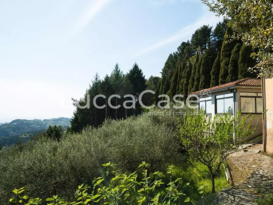 Immagine 27 di Casa colonica in vendita  a Camaiore