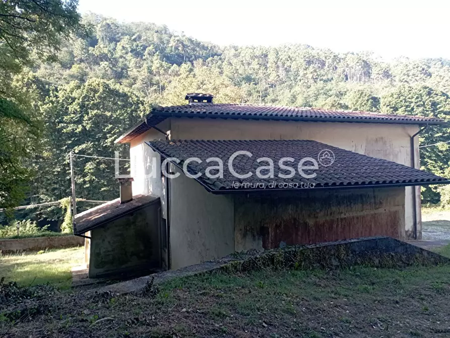 Immagine 66 di Casa colonica in vendita  a Camaiore