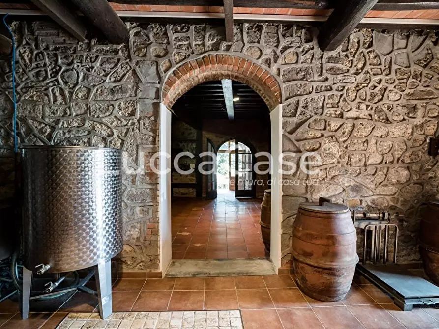Immagine 12 di Casa colonica in vendita  a Camaiore