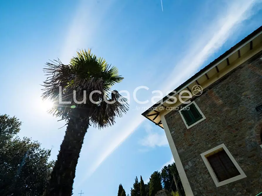 Immagine 29 di Casa colonica in vendita  a Camaiore