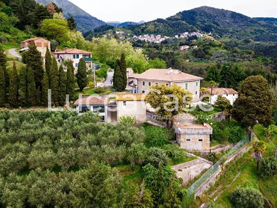 Immagine 62 di Casa colonica in vendita  a Camaiore