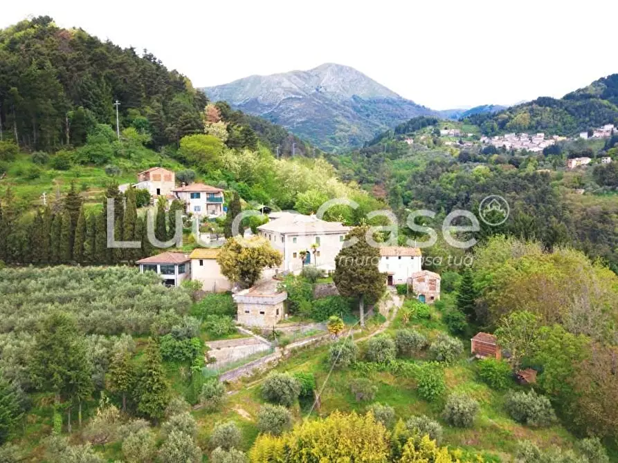 Immagine 57 di Casa colonica in vendita  a Camaiore