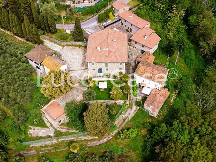 Immagine 59 di Casa colonica in vendita  a Camaiore