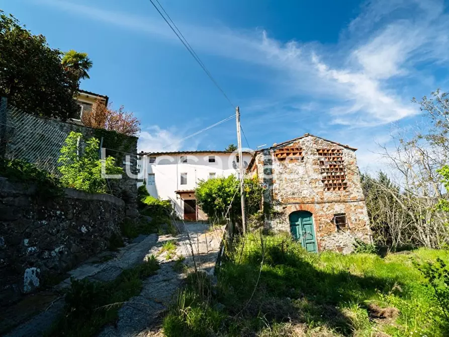Immagine 39 di Casa colonica in vendita  a Camaiore
