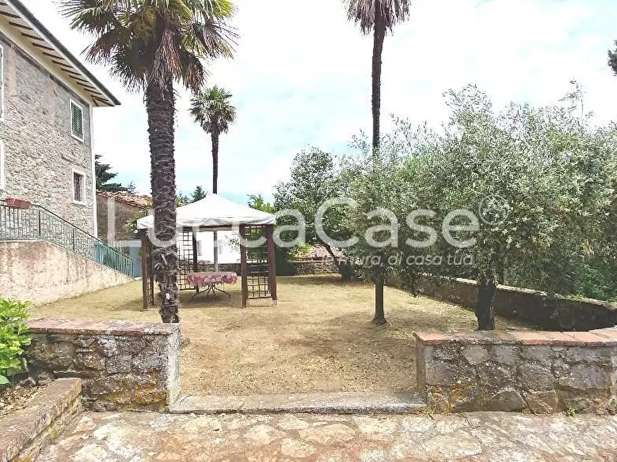 Immagine 6 di Casa colonica in vendita  a Camaiore