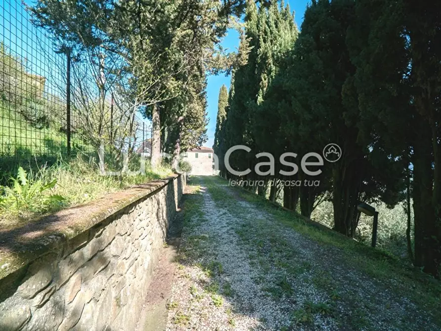 Immagine 2 di Casa colonica in vendita  a Camaiore