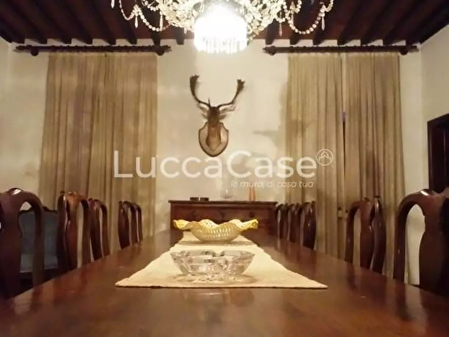 Immagine 45 di Casa colonica in vendita  a Camaiore