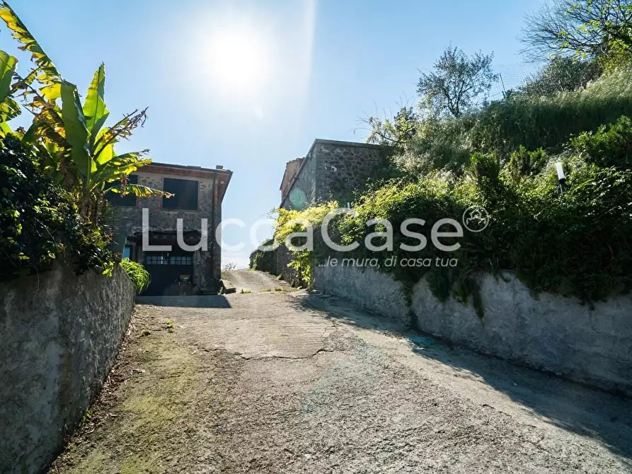 Immagine 33 di Casa colonica in vendita  a Camaiore