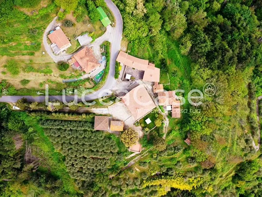 Immagine 58 di Casa colonica in vendita  a Camaiore