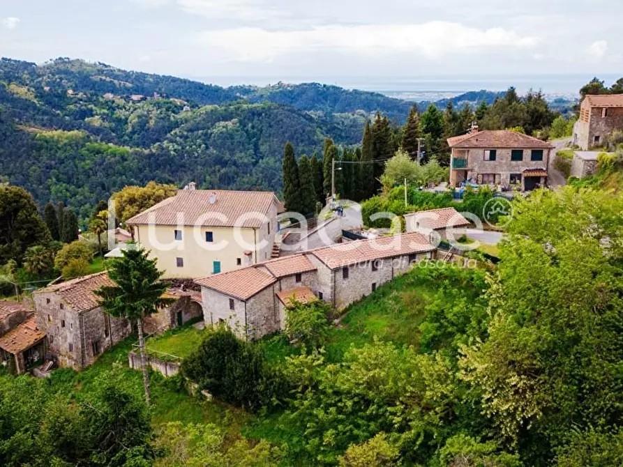 Immagine 55 di Casa colonica in vendita  a Camaiore