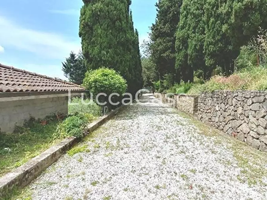 Immagine 3 di Casa colonica in vendita  a Camaiore