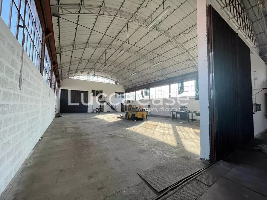 Immagine 6 di Attività artigianale in affitto  a Lucca