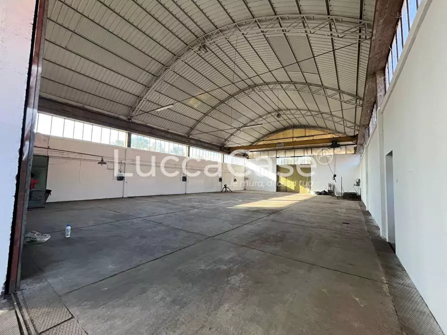 Immagine 4 di Attività artigianale in affitto  a Lucca