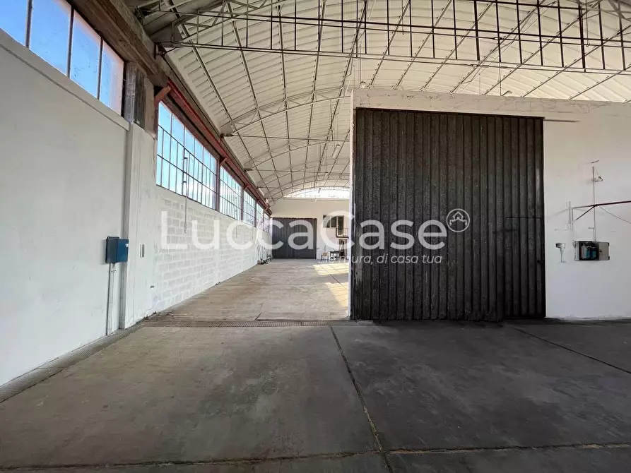 Immagine 7 di Attività artigianale in affitto  a Lucca