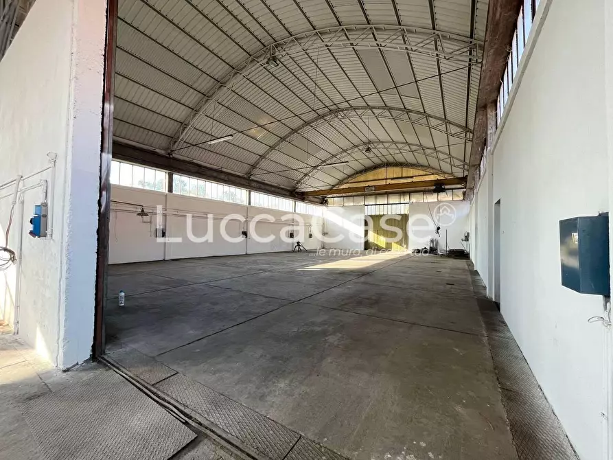 Immagine 3 di Attività artigianale in affitto  a Lucca