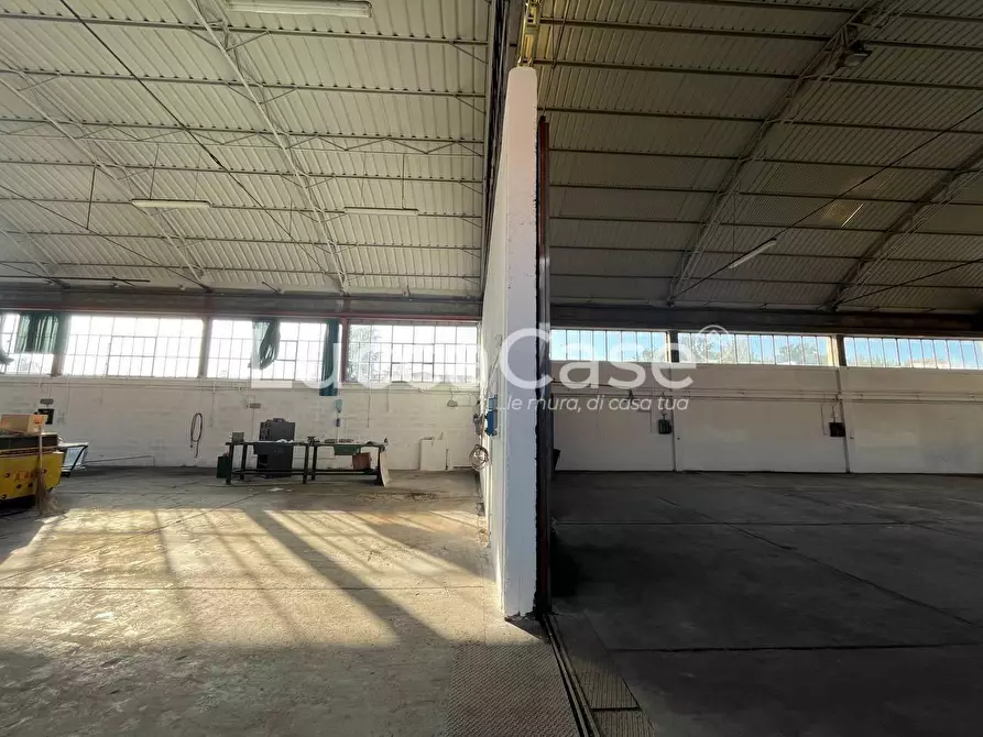 Immagine 5 di Attività artigianale in affitto  a Lucca