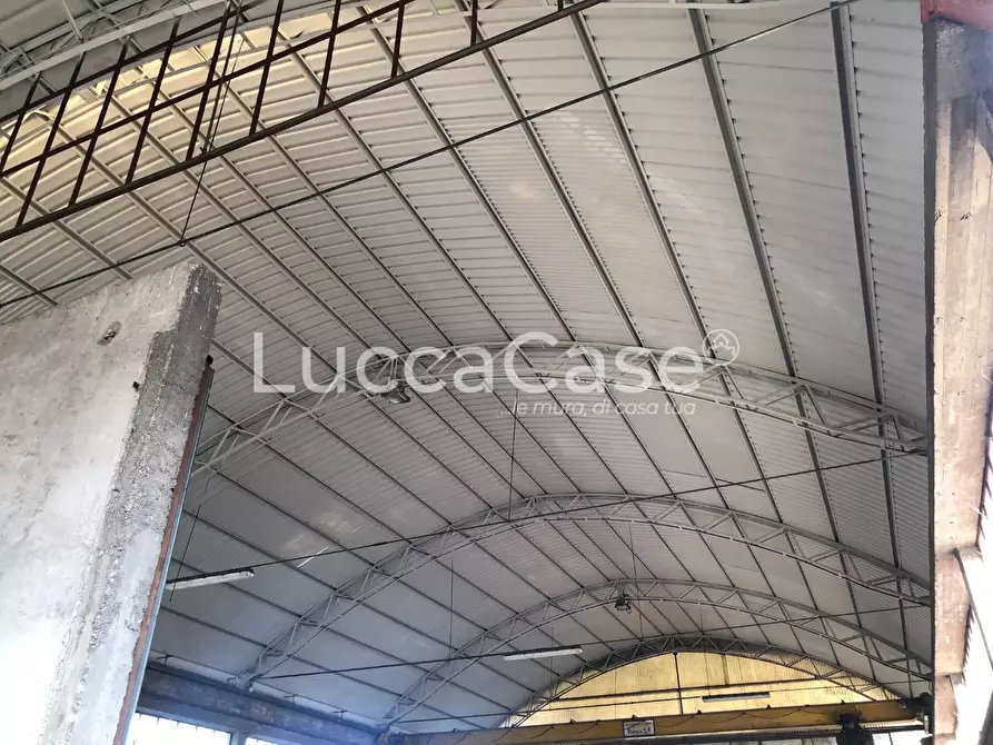 Immagine 8 di Attività artigianale in affitto  a Lucca