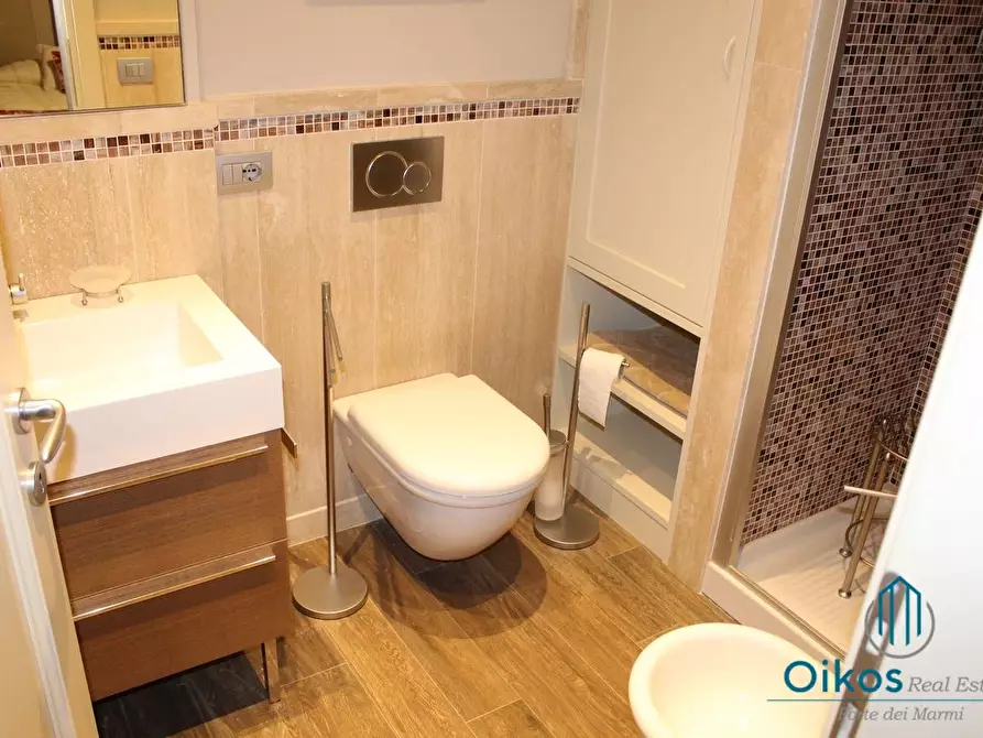 Immagine 11 di Villa in affitto  a Forte Dei Marmi