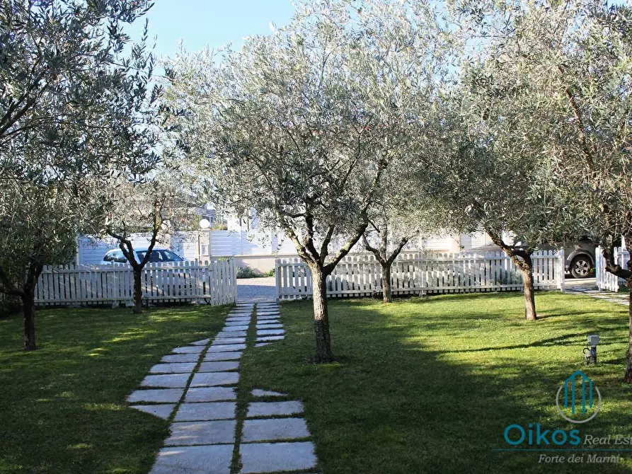 Immagine 2 di Villa in affitto  a Forte Dei Marmi