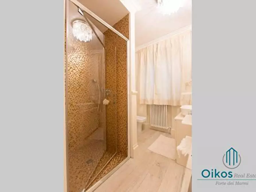 Immagine 11 di Villa in affitto  a Forte Dei Marmi