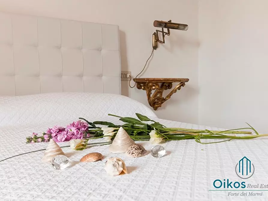 Immagine 18 di Casa bifamiliare in affitto  a Forte Dei Marmi