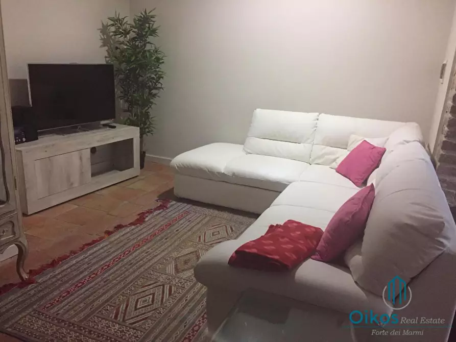 Immagine 15 di Villa in affitto  a Pietrasanta