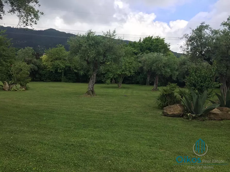 Immagine 4 di Villa in affitto  a Pietrasanta