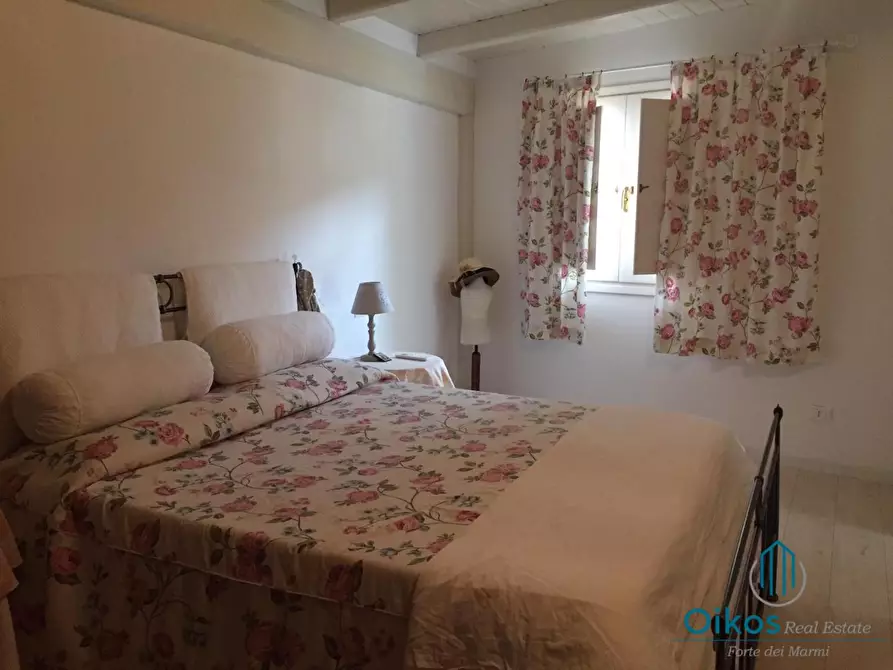 Immagine 21 di Villa in affitto  a Pietrasanta
