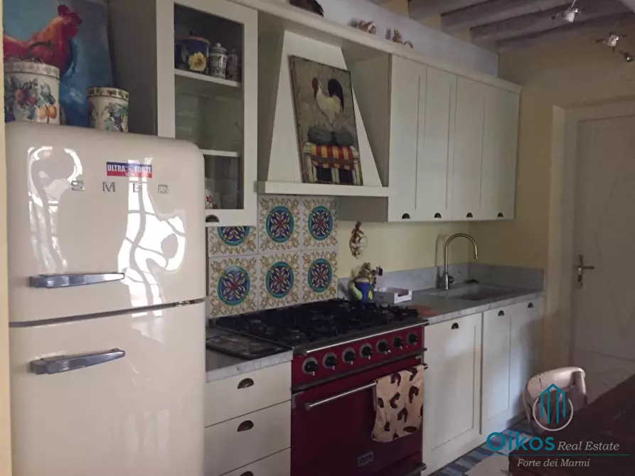 Immagine 8 di Villa in affitto  a Pietrasanta