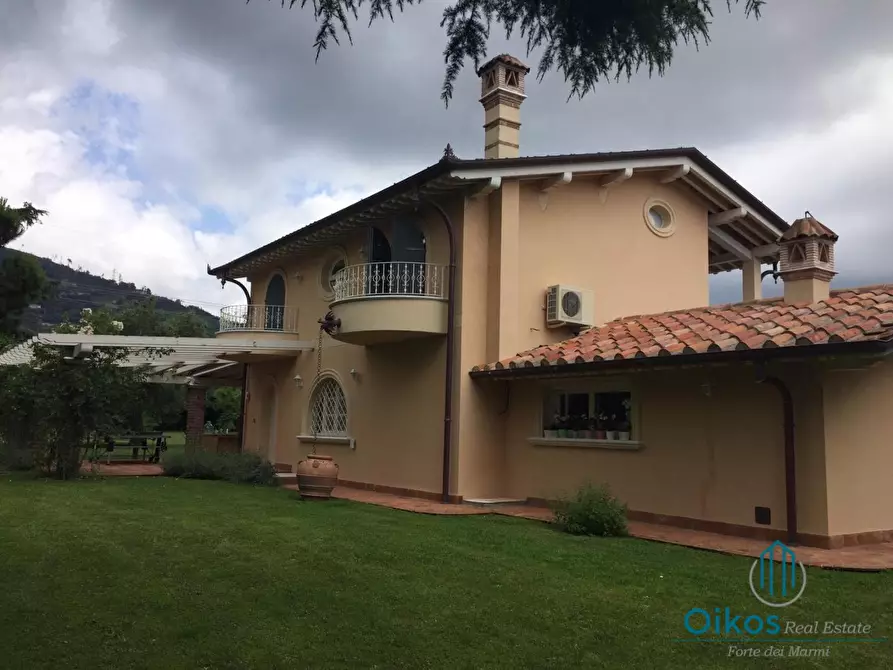 Immagine 1 di Villa in affitto  a Pietrasanta