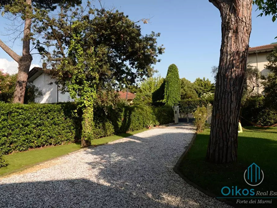 Immagine 3 di Villa in affitto  a Forte Dei Marmi