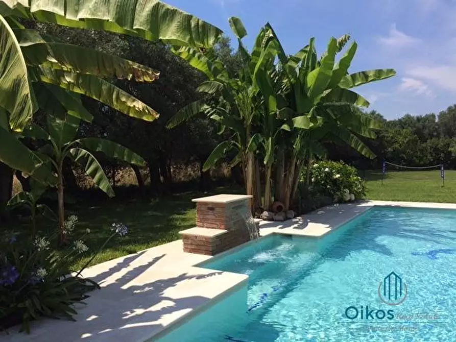 Immagine 15 di Villa in affitto  a Pietrasanta